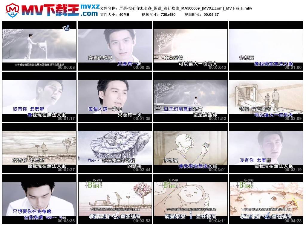 严爵-没有你怎么办_国语_流行歌曲_MA500069